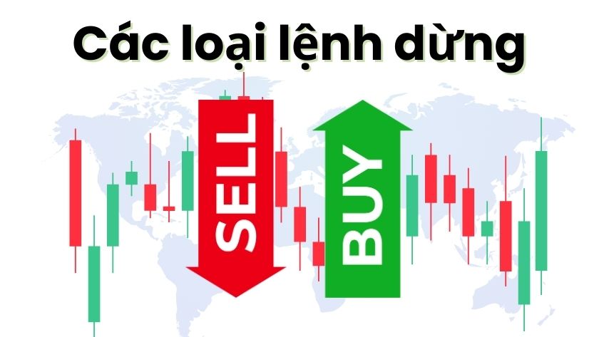 Phân loại lệnh dừng