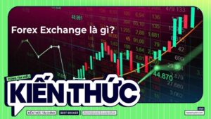 Forex Exchange là gì