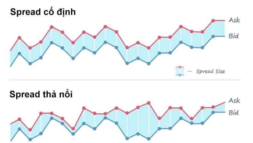 2 loại Spread