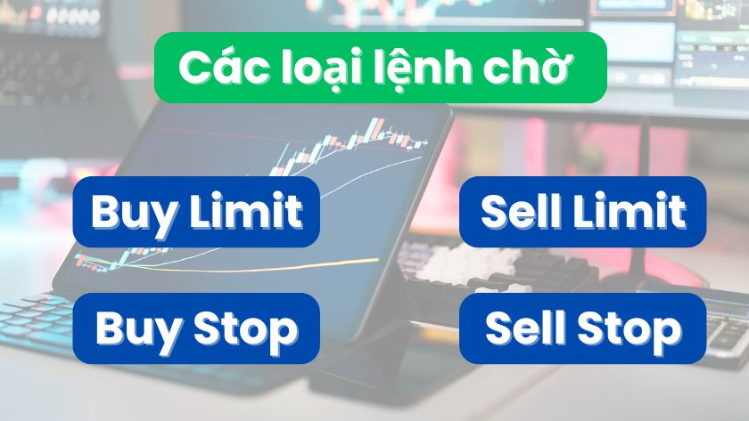 Các loại lệnh chờ