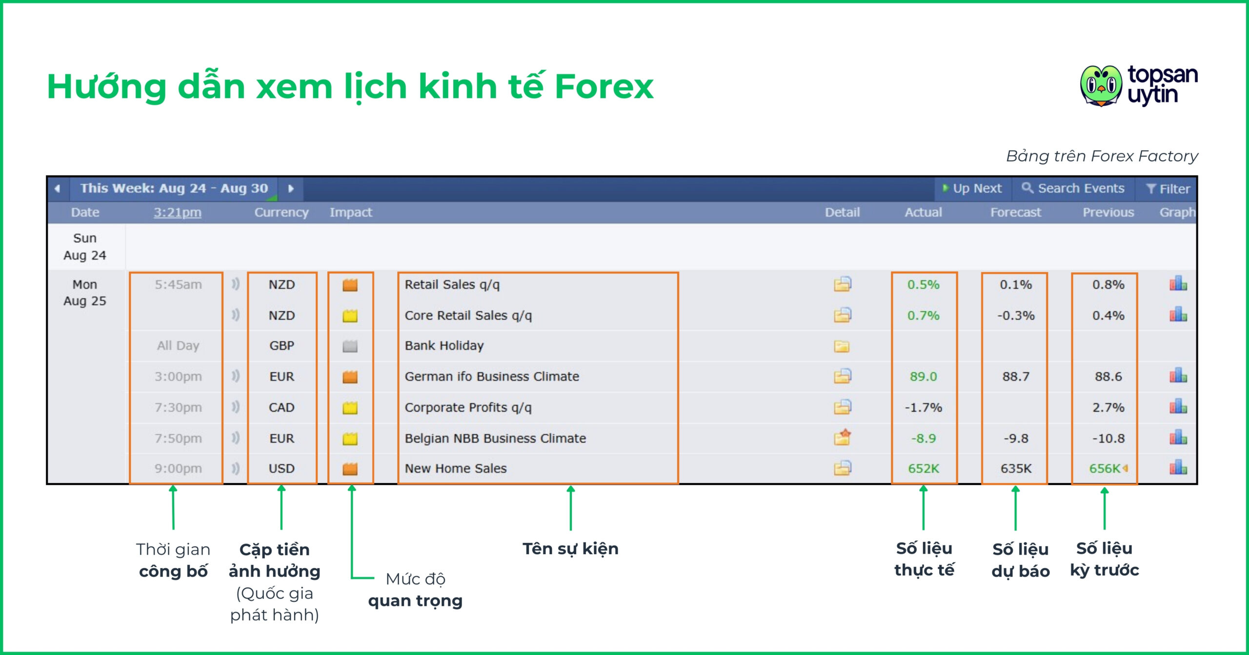 Hướng dẫn chi tiết cách đọc Lịch kinh tế Forex