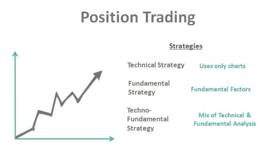 Kỹ thuật và chiến lược Position trading phổ biến