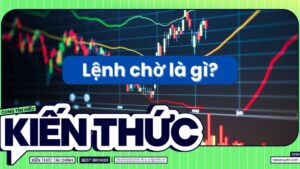 Lệnh chờ là gì