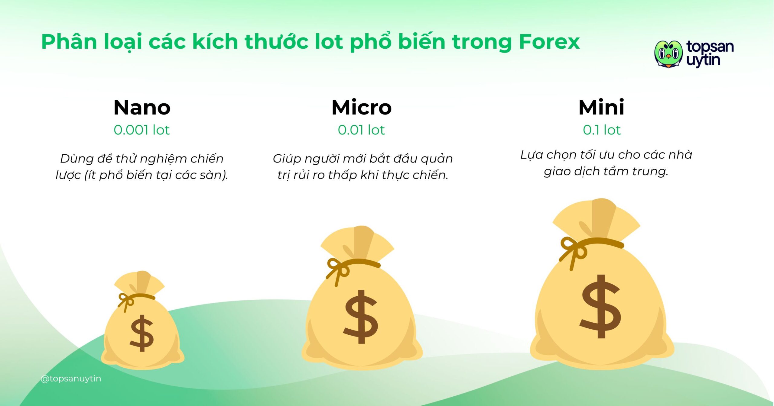 Phân loại các kích thước Lot phổ biến Phân loại các kích thước Lot phổ biến