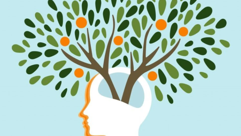 Mindset trader là gì