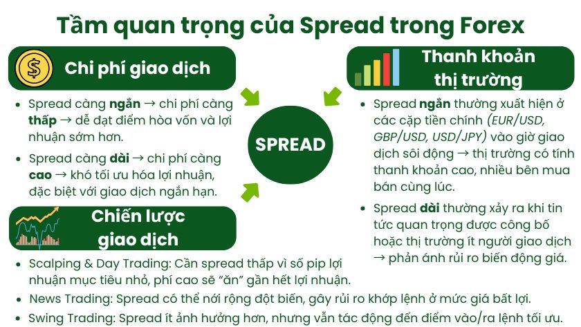 Tầm quan trọng của Spread trong Forex