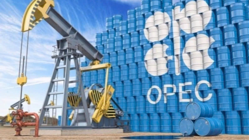 OPEC+ cân nhắc tăng thêm sản lượng