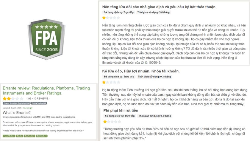 Một vài phản hồi của trader về Errante trên FPA