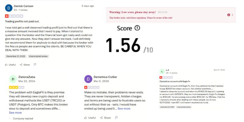 Góc đánh giá, phản hồi từ cộng đồng từ EagleFX