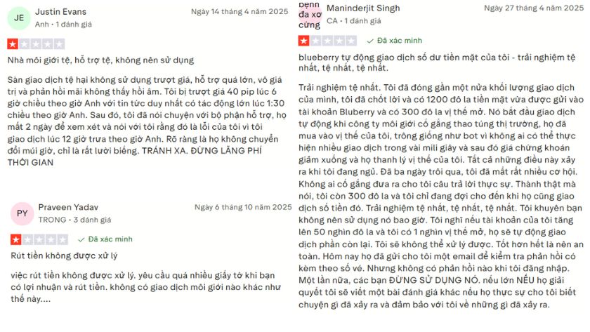 Một vài phản hồi của trader Blueberry Markets trên Trustpilot