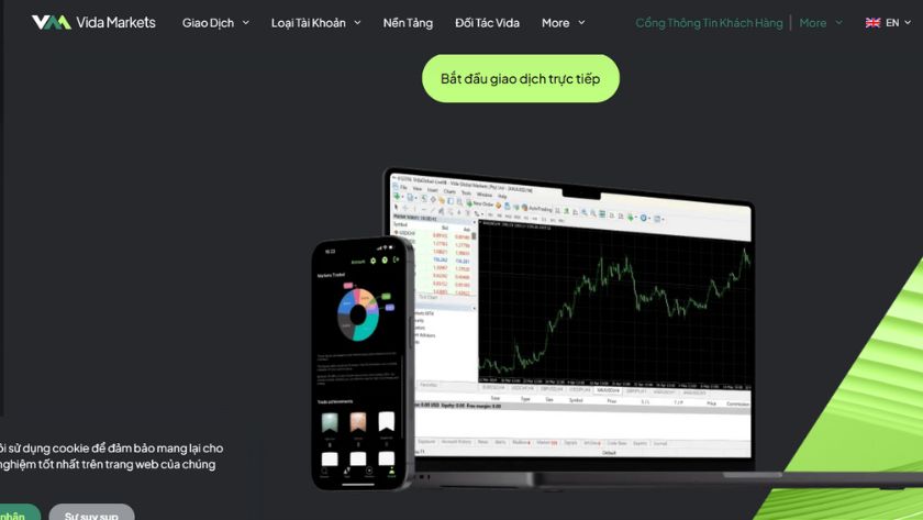 Tìm hiểu khái quát sàn Vida Markets