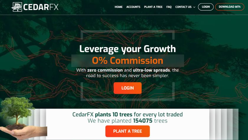 Tìm hiểu sàn CedarFX