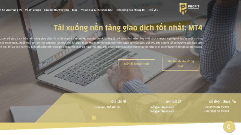 Tìm hiểu tổng quát về Profit FX