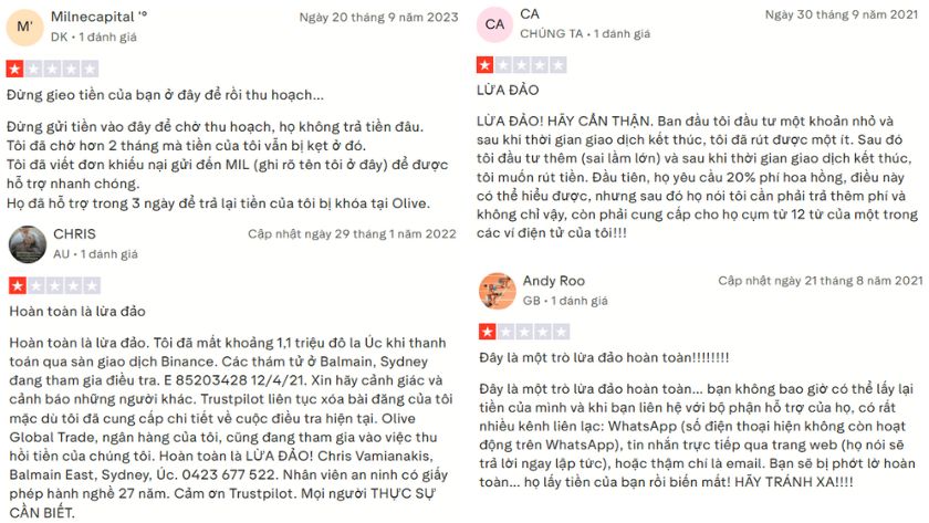 Trên Trustpilot, Olive Markets nhận về hàng loạt phản hồi tiêu cực từ người dùng
