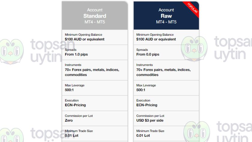 Hai tài khoản chính được công bố trên FP Markets