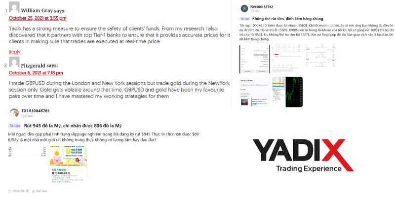 Các phản ảnh từ người dùng Yadix theo hướng tiêu cực