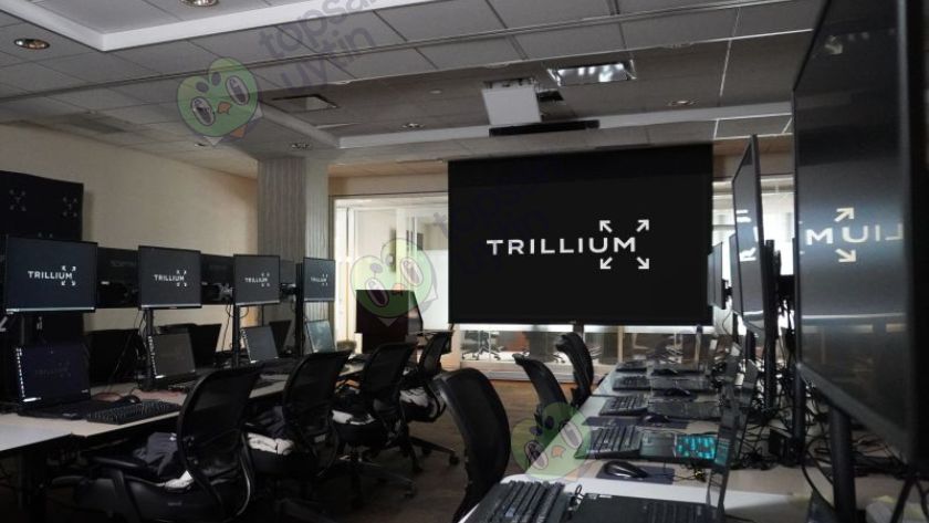 Văn phòng Trillium