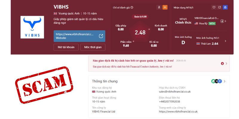 Đánh giá các khía cạnh khác nhau về VIBHS Financials