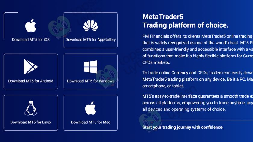 PM Financials tập trung giao dịch trên nền tảng MT5