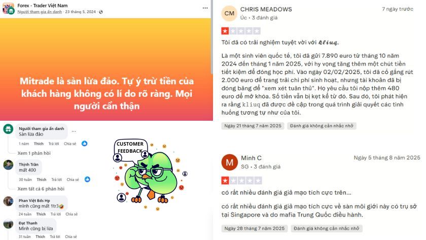 Feedback của trader quốc tế và Việt Nam về sàn Mitrade