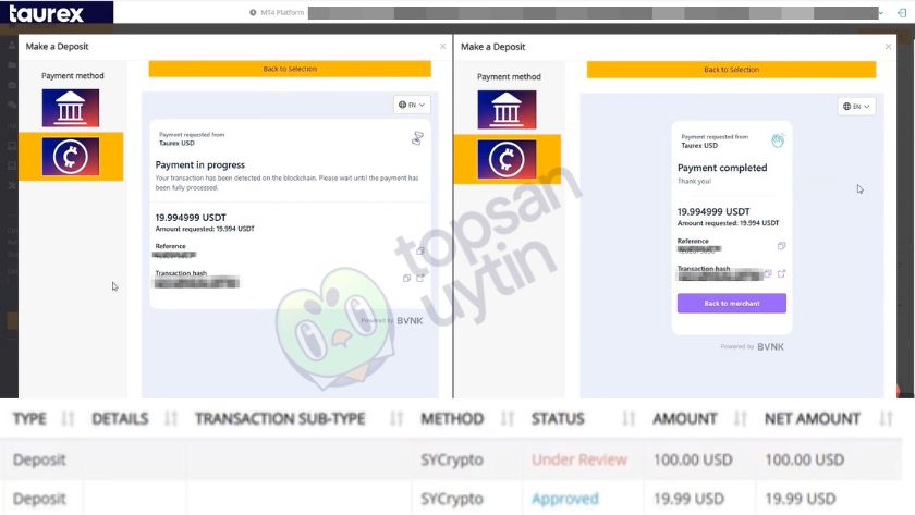 Top Sàn Uy Tín Team nạp tiền để trải nghiệm giao dịch thực tế trên Taurex