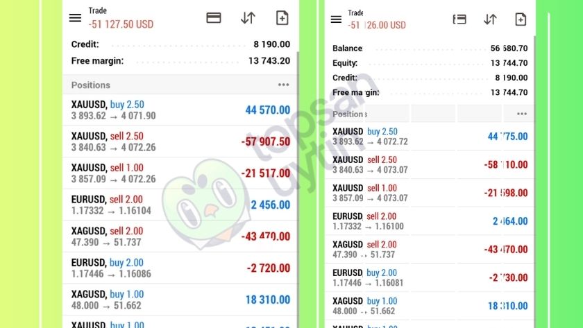 Trillium gặp nhiều vấn đề khi tiến hành giao dịch với số tiền lớn